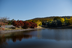秋・奈良公園