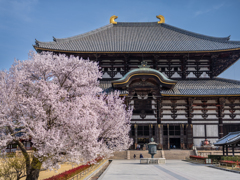 2025年春・奈良公園
