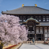2025年春・奈良公園