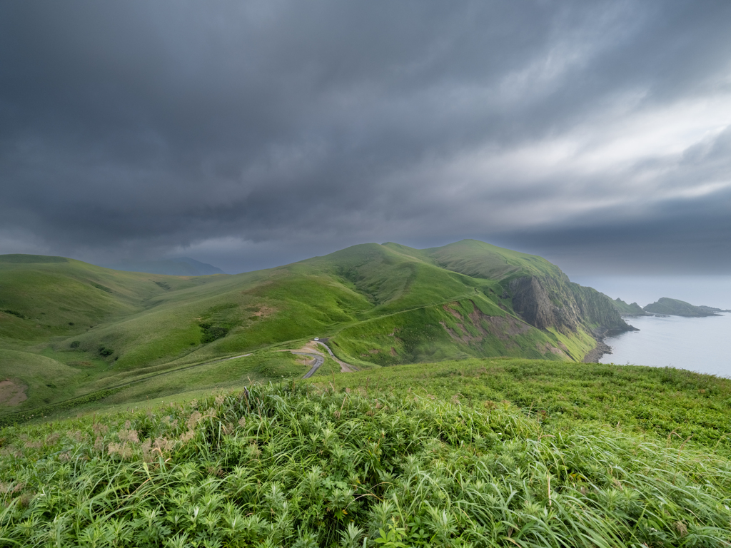 礼文島の風景