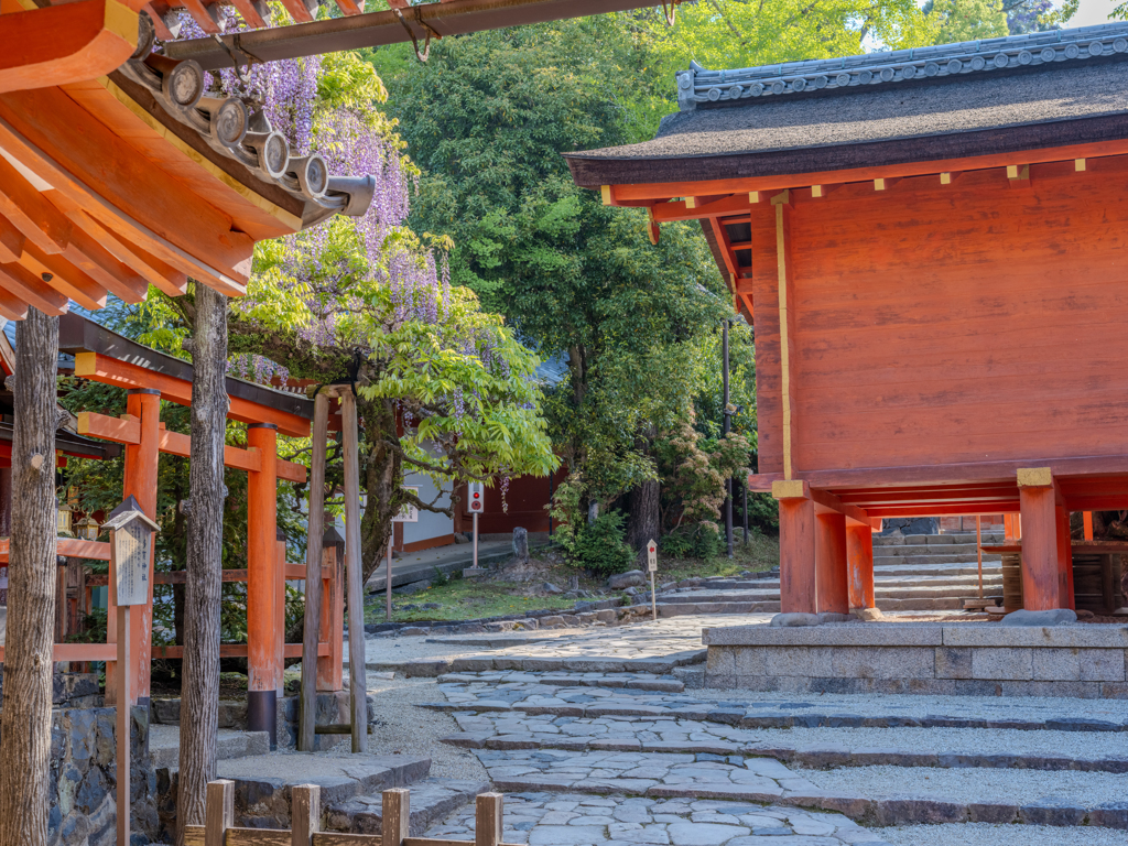 2025年・春日大社