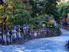 2024年・晩秋の奈良