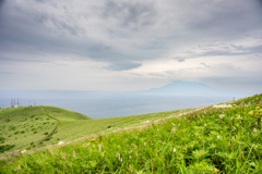 礼文島の風景
