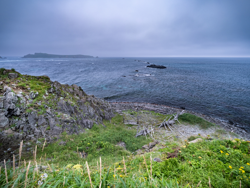 礼文島の風景