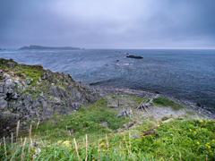 礼文島の風景