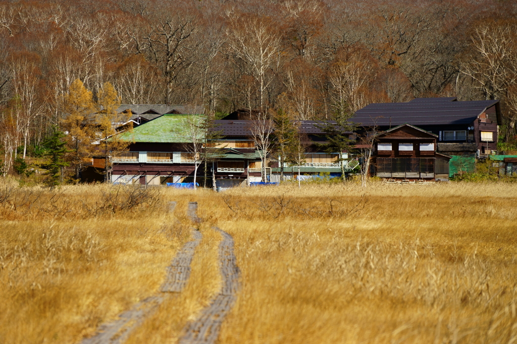 尾瀬ケ原
