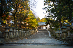 秋・奈良公園