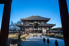 2024年・晩秋の奈良
