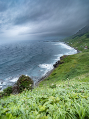 礼文島の風景