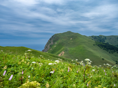 礼文島の風景