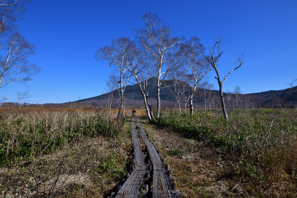 尾瀬ケ原と燧ケ岳