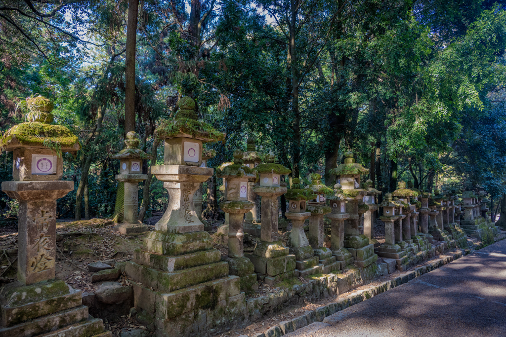 2025年・春日大社