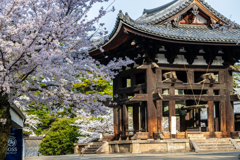 2025年春・奈良公園　東大寺奈良太郎