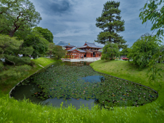 宇治・平等院