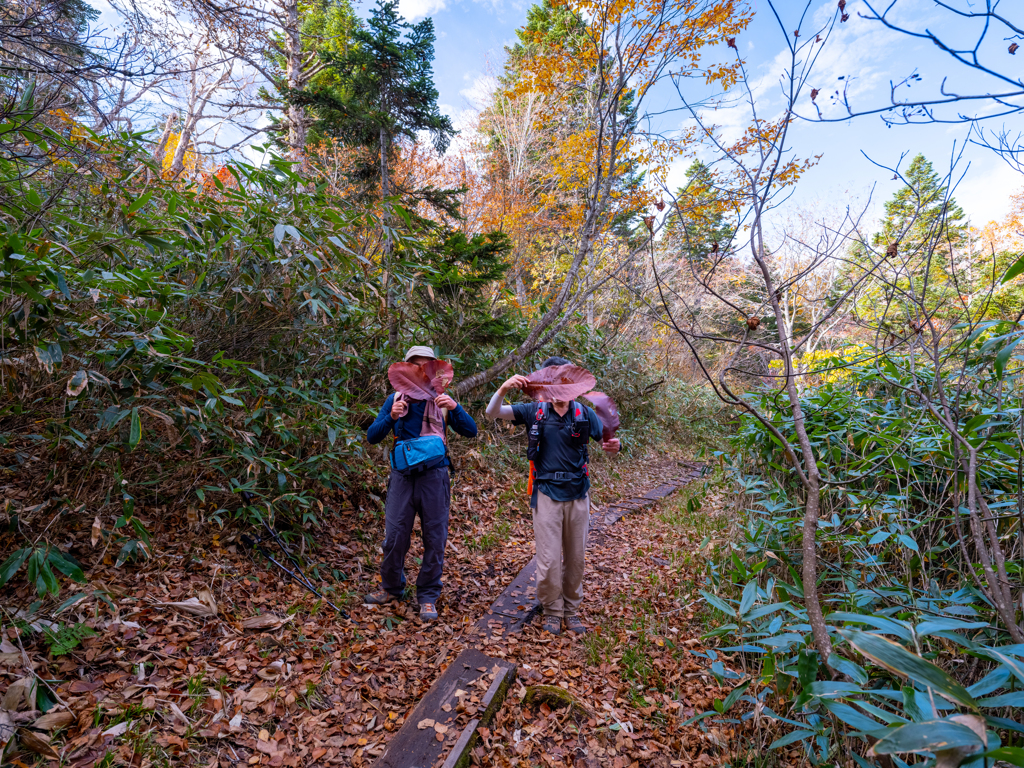 尾瀬ヶ原・旅の仲間