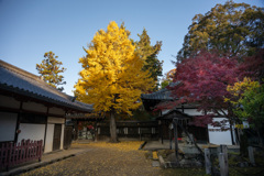 2024年・晩秋の奈良　手向山八幡宮