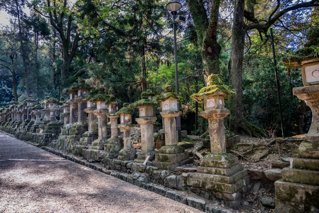 2025年・春日大社