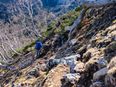 北八ヶ岳・森林限界を抜け始める