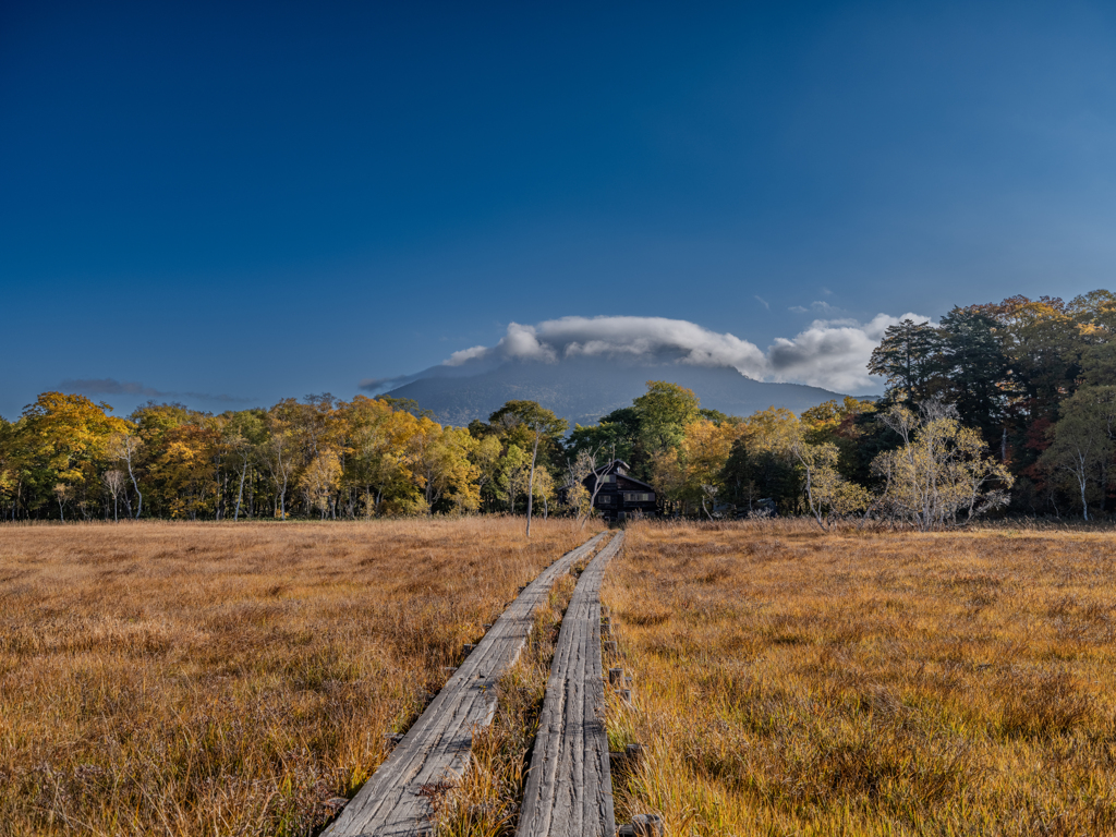 尾瀬と会津駒の旅・尾瀬ヶ原を行く　中田代　沼尻川の拠水林と竜宮小屋