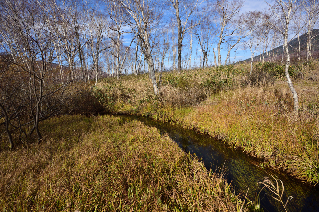 尾瀬ヶ原　六兵衛堀