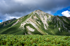 三俣山荘より・鷲羽岳