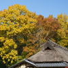 DSC00076
