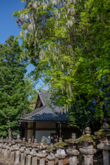 2025年・春日大社
