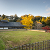 2024年・晩秋の奈良公園　東大寺二月堂供田