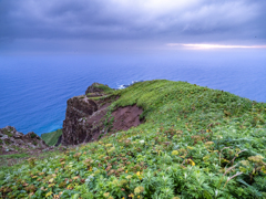 礼文島の風景