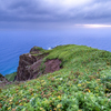 礼文島の風景
