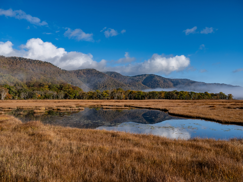 尾瀬と会津駒の旅・尾瀬ヶ原を行く