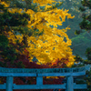 奈良公園