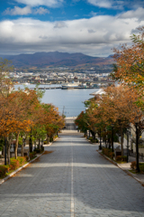 函館・八幡坂