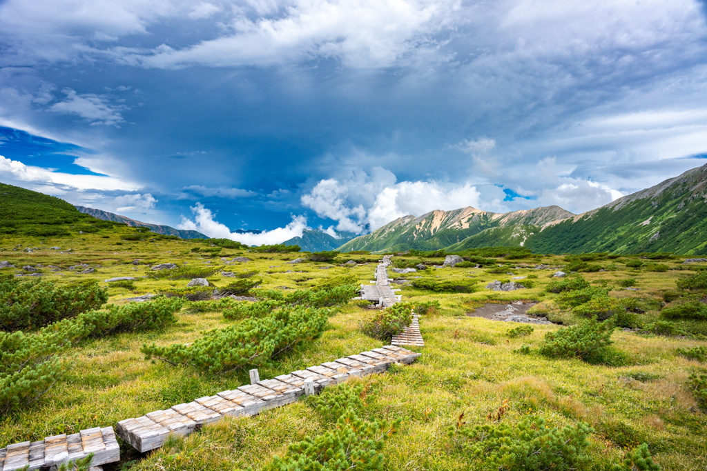 雲ノ平から薬師岳を望む