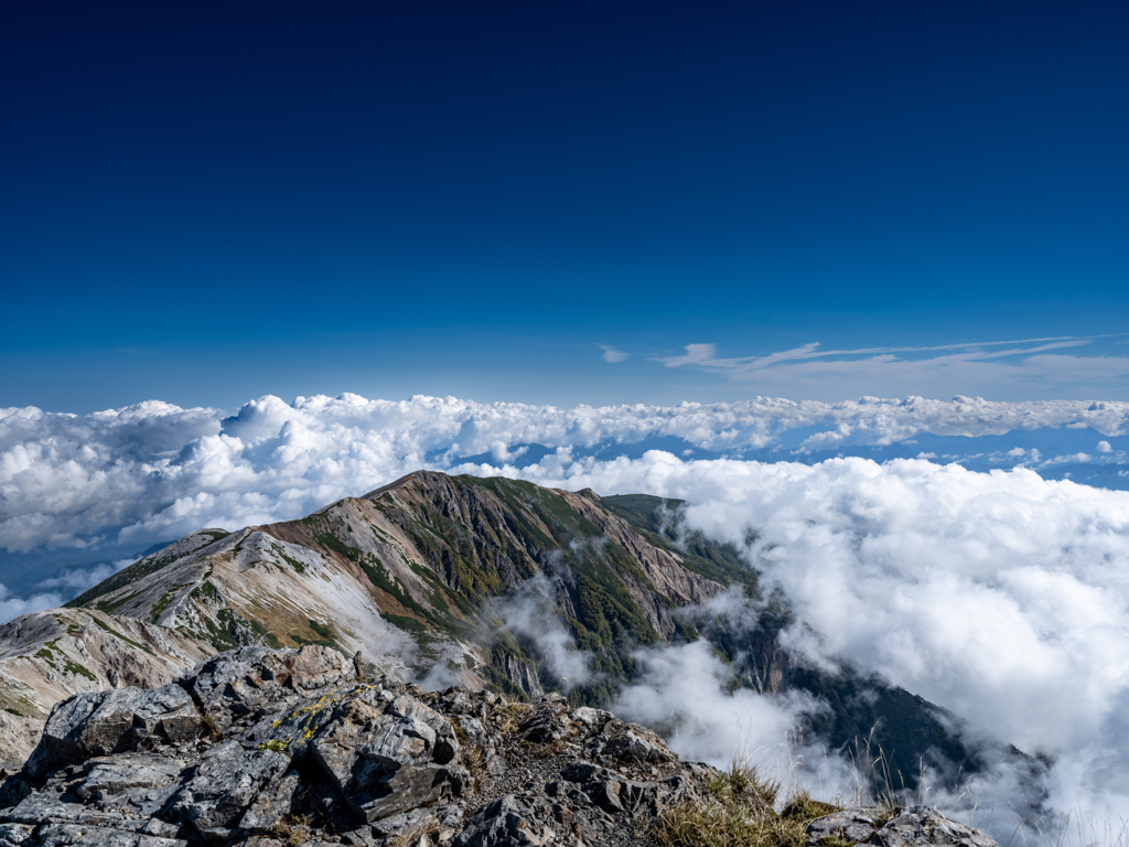 白馬岳から見た小蓮華山