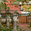 秋・奈良公園