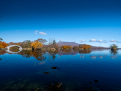 函館大沼