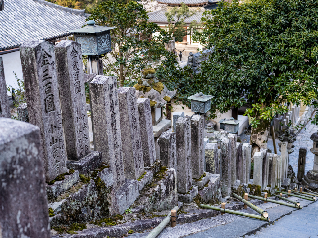 2025年春・奈良公園　二月堂