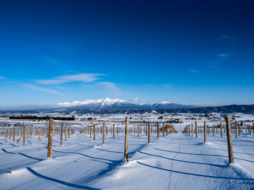 富良野の風景
