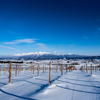 富良野の風景