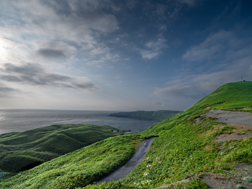 礼文島の風景