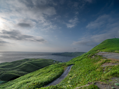 礼文島の風景