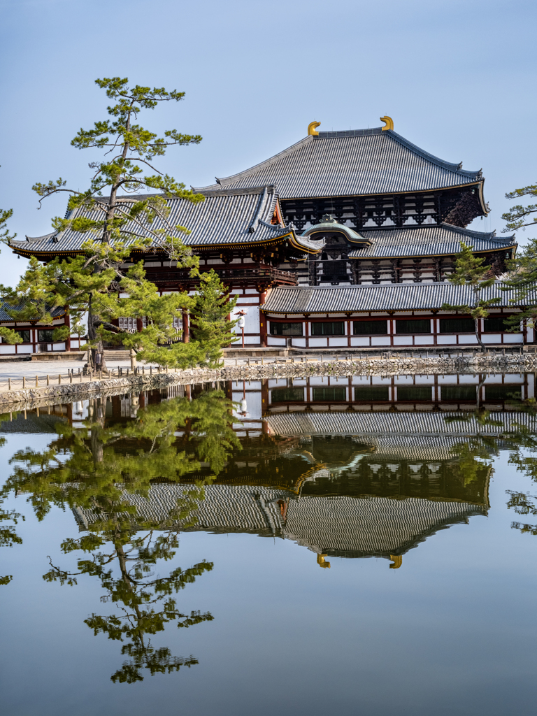 2025年春・奈良公園