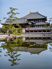 2025年春・奈良公園