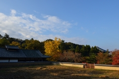 1211奈良公園2