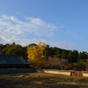 1211奈良公園2