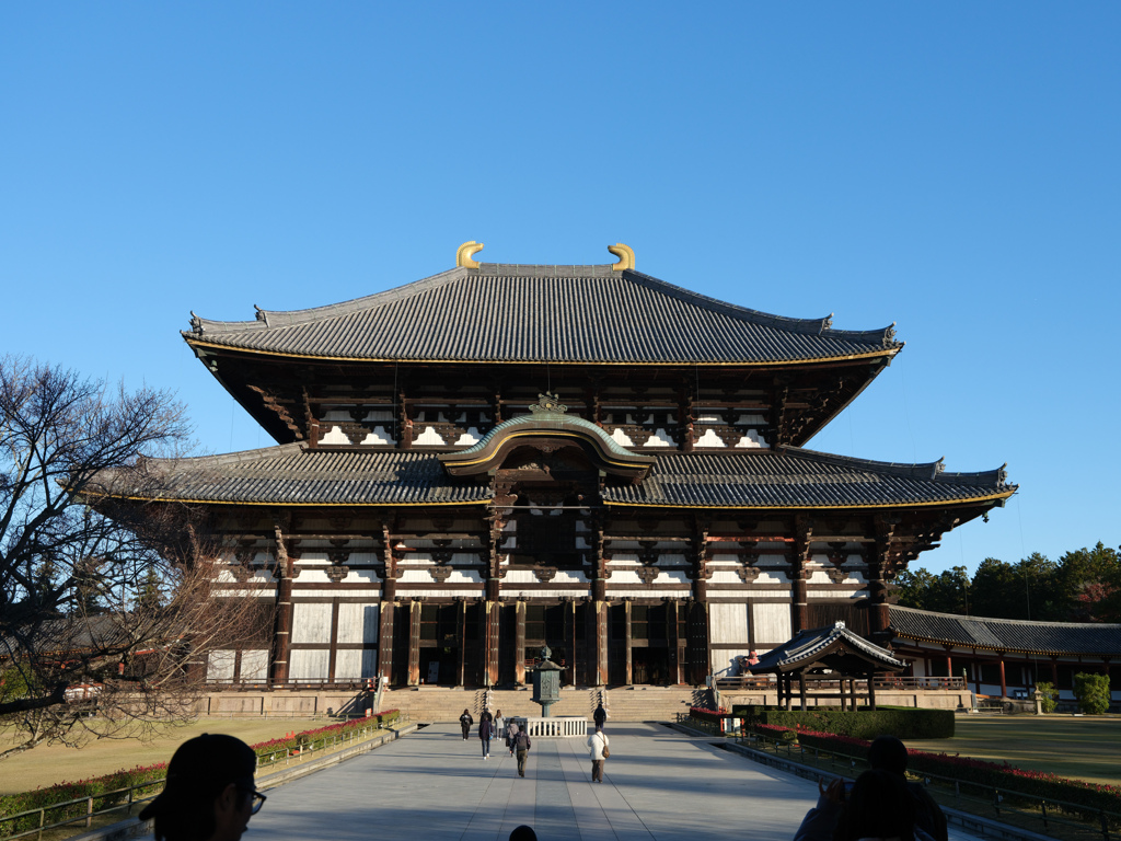 2024年・晩秋の奈良