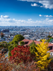 石切からの大阪の風景
