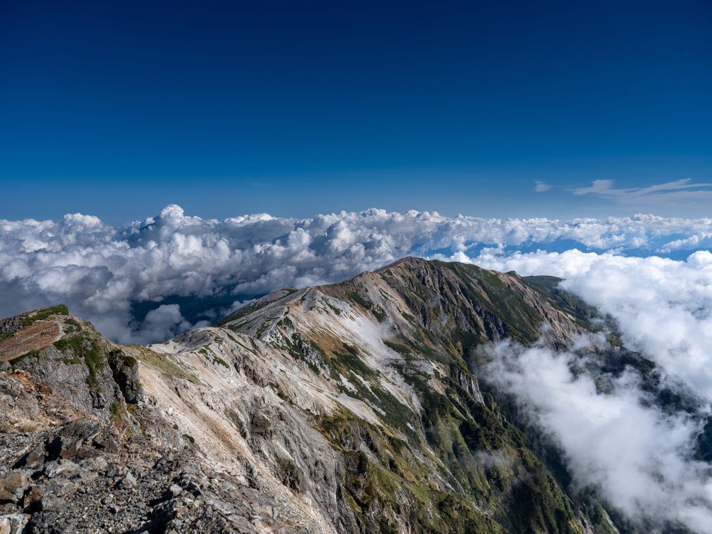 白馬岳から見た小蓮華山