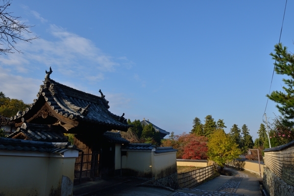 1211奈良公園6